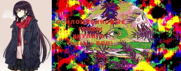 мет Арсеньев
